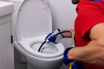 Clearing a Clogged Toilet